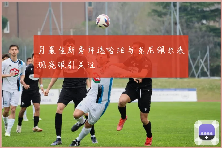 月最佳新秀评选哈珀与克尼佩尔表现亮眼引关注